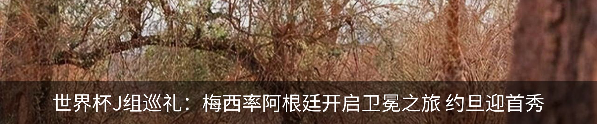 热点资讯