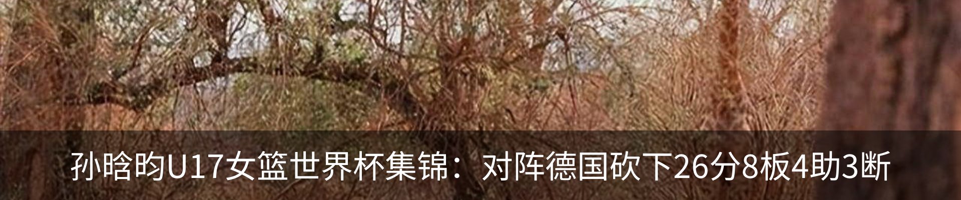 热点资讯