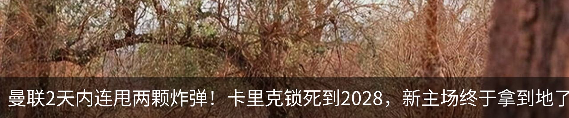 热点资讯