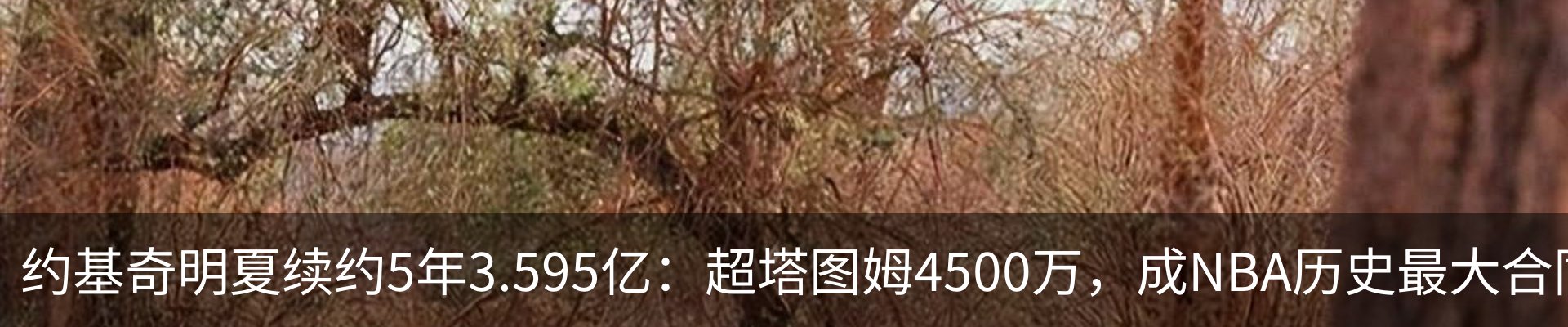 热点资讯